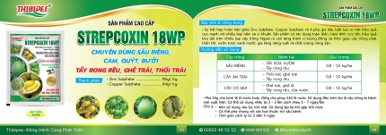 so-tay-bvtv-thien-binh-23.jpg