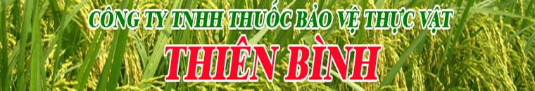 BVTV Thiên Bình
