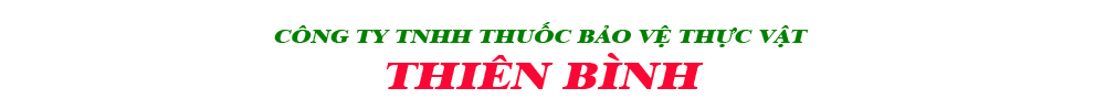 BVTV Thiên Bình